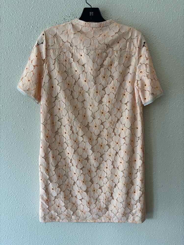 DVF Peach Size 6 Dress