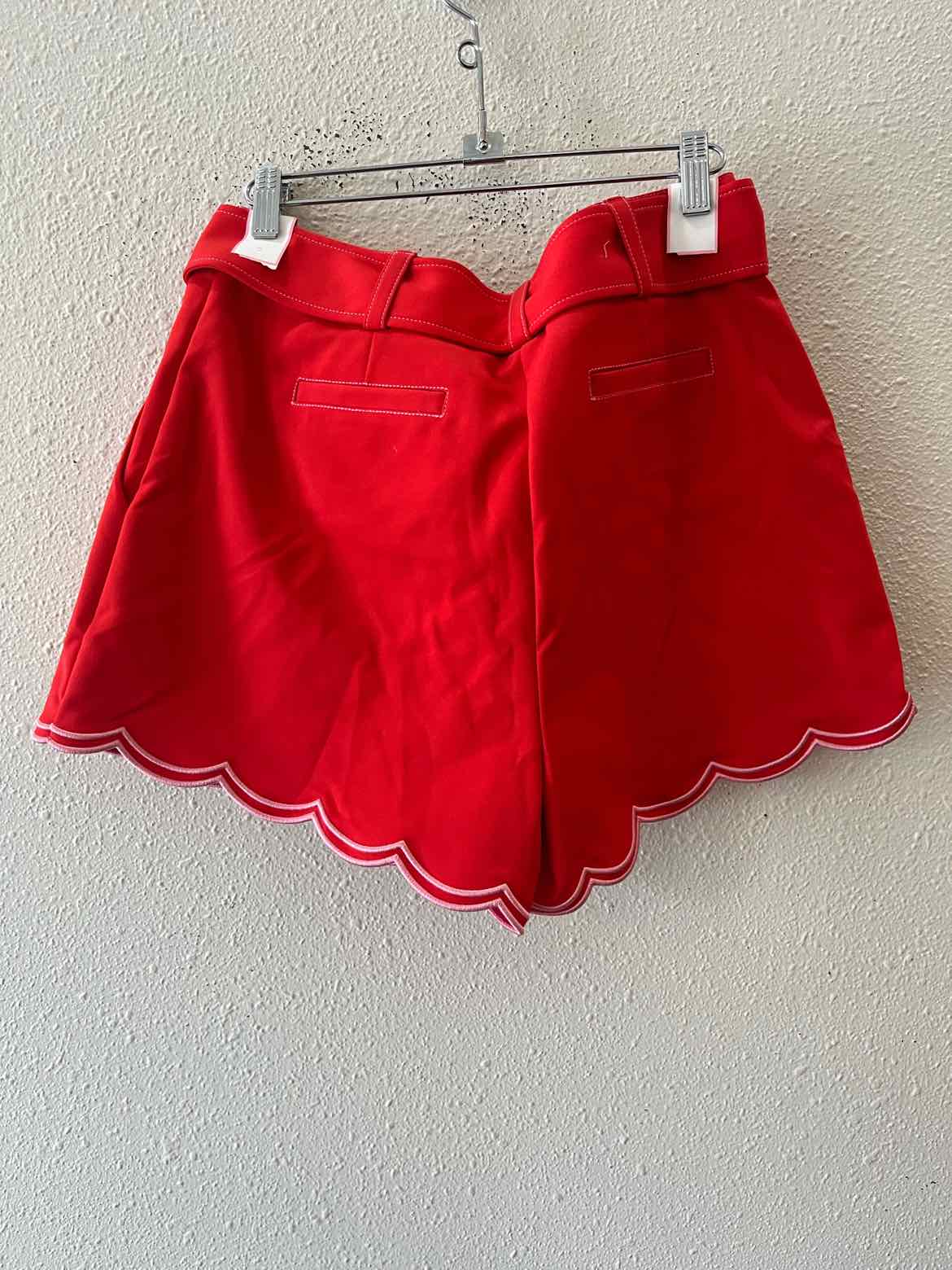 Ramy Brook Red and Pink Size 10 Shorts
