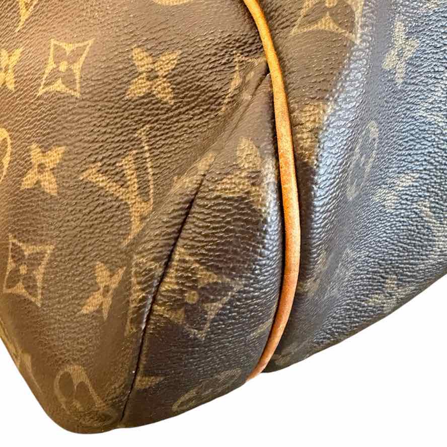 Louis Vuitton Brown and Tan Handbag