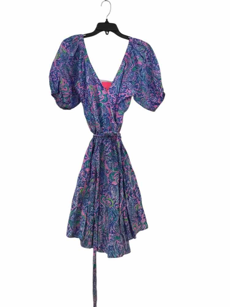 Lilly Pulitzer Blue & Pink Size 12 Dress