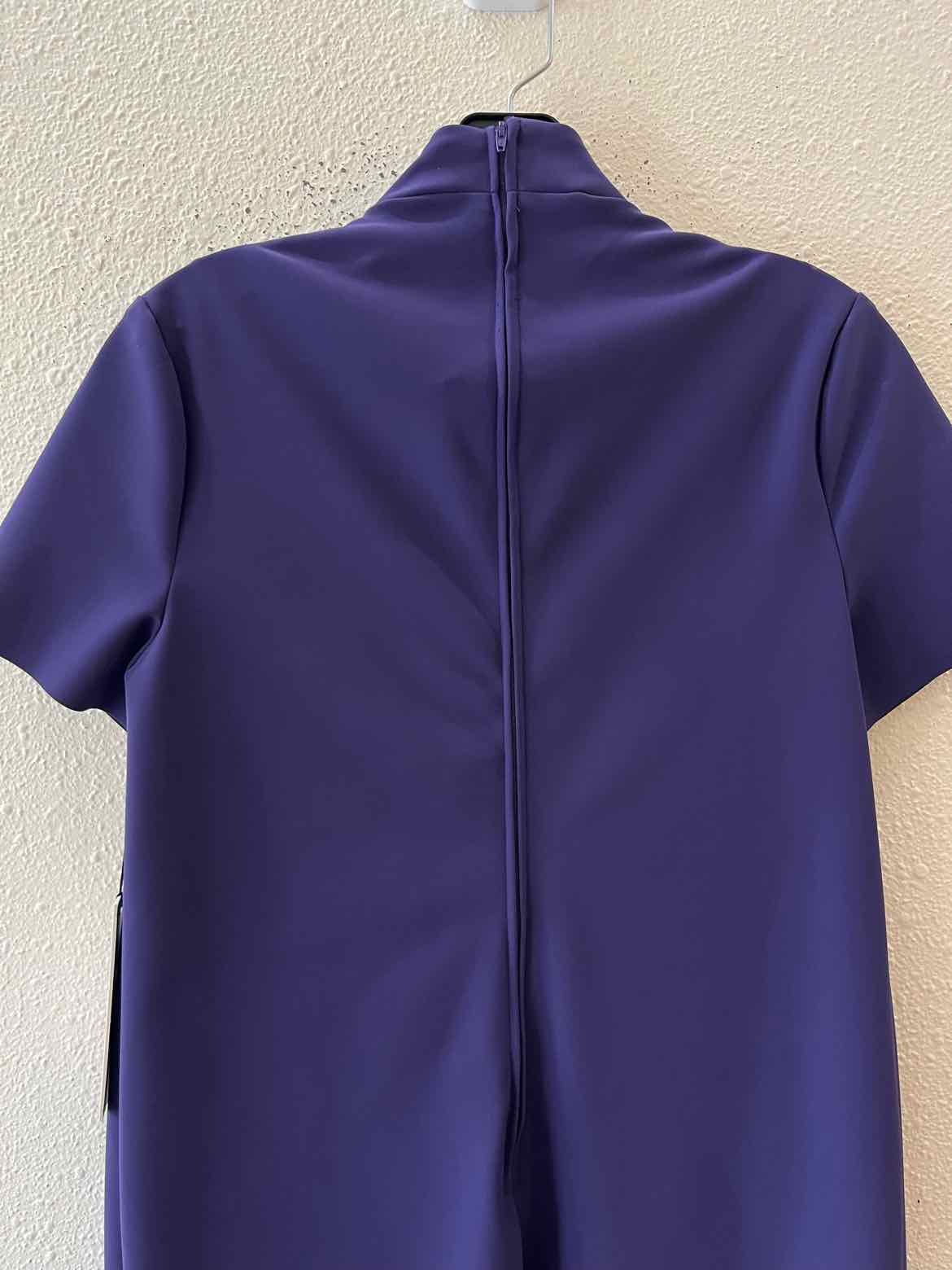 Greta Constantine Amethyst Size 6 Dress