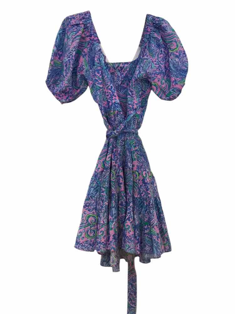 Lilly Pulitzer Blue & Pink Size 12 Dress