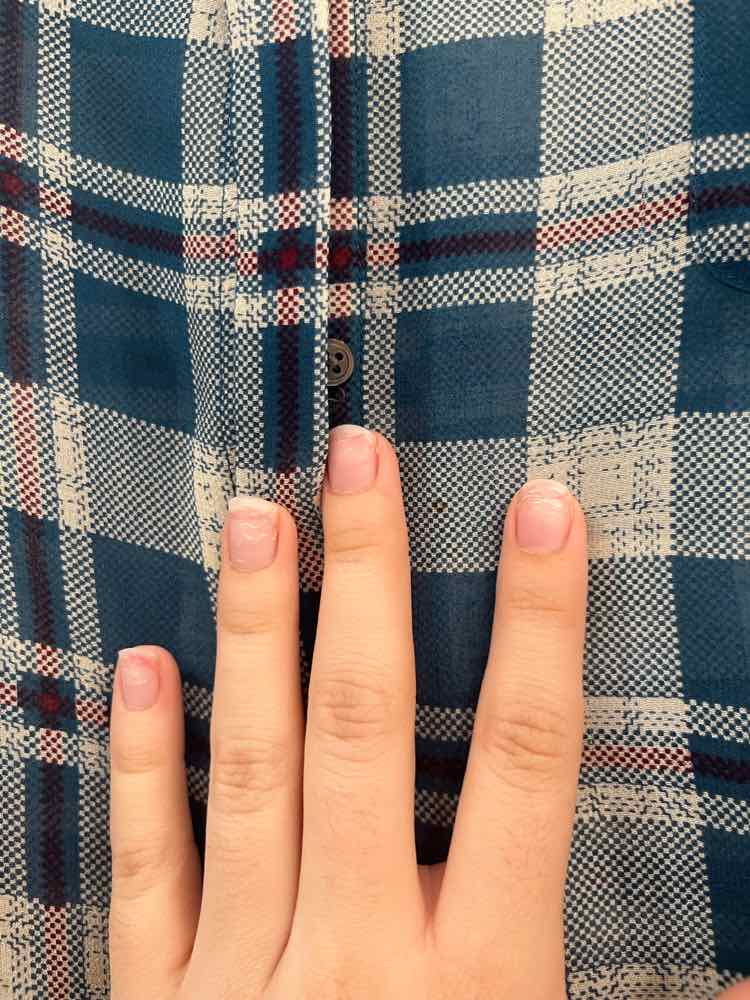 Joie Blue Plaid Size S Shirt