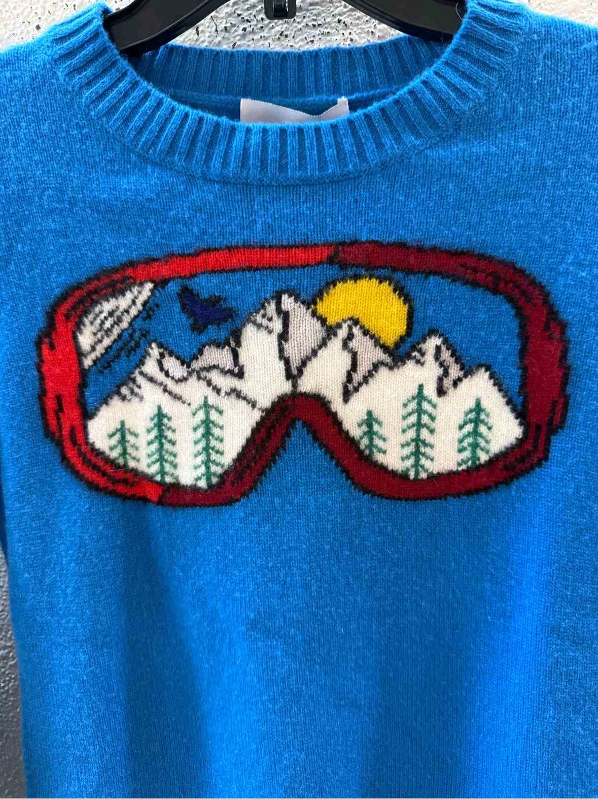 Never a Wallflower Cerulean Size XS Sweater