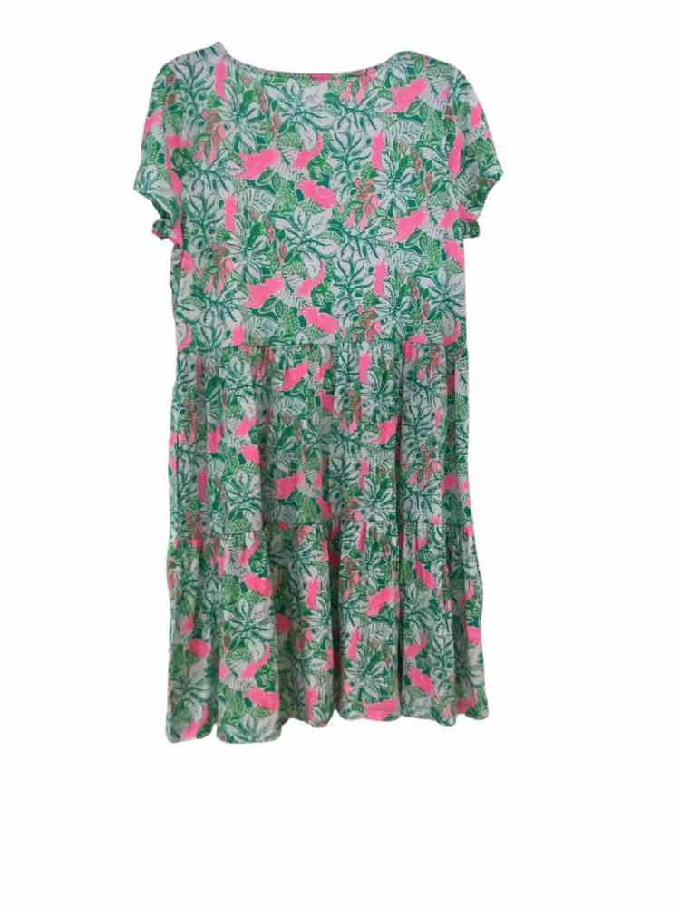 Lilly Pulitzer Green and Pink Size L Dress