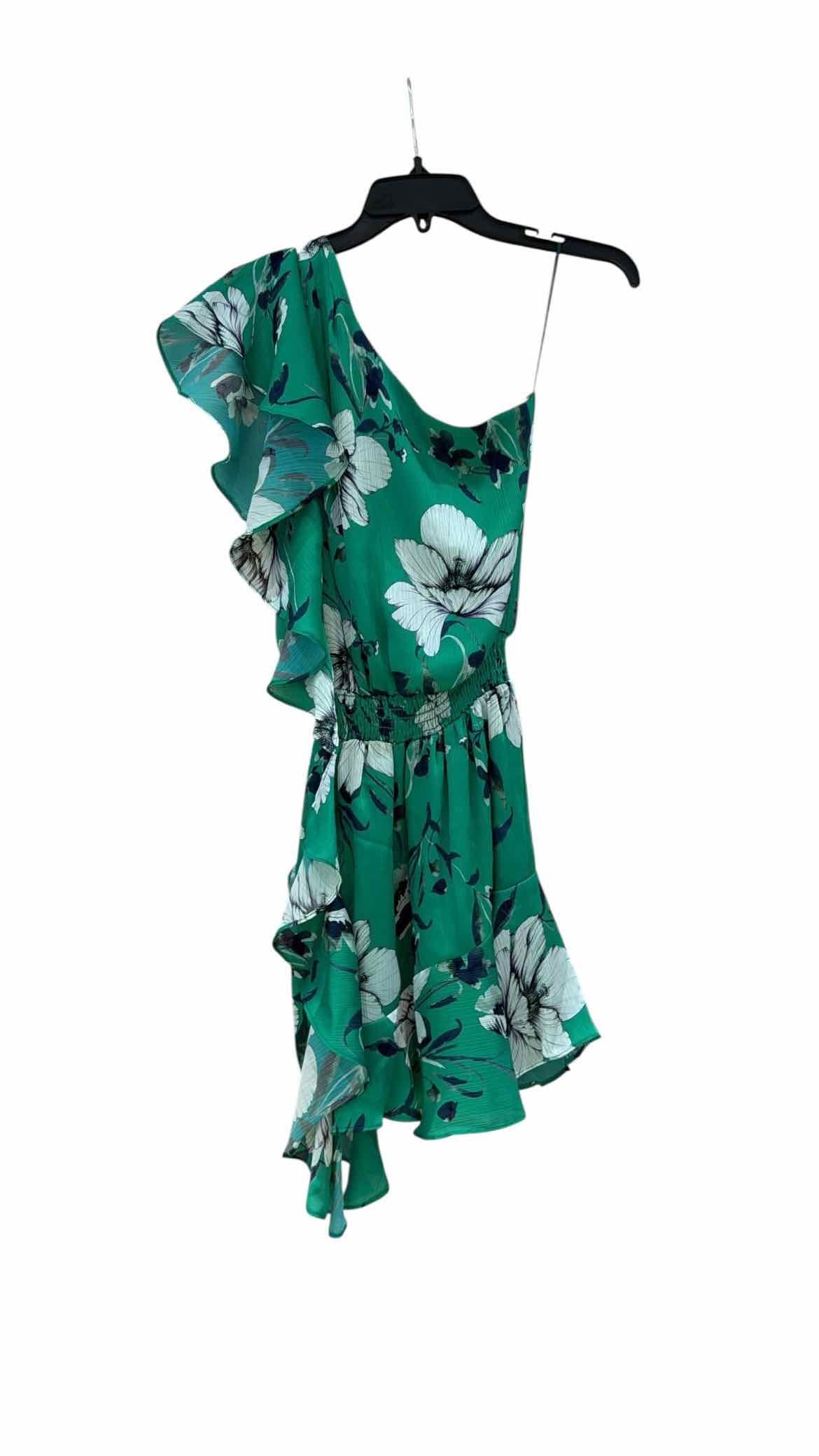 Krisa Green and White Size XS Dress