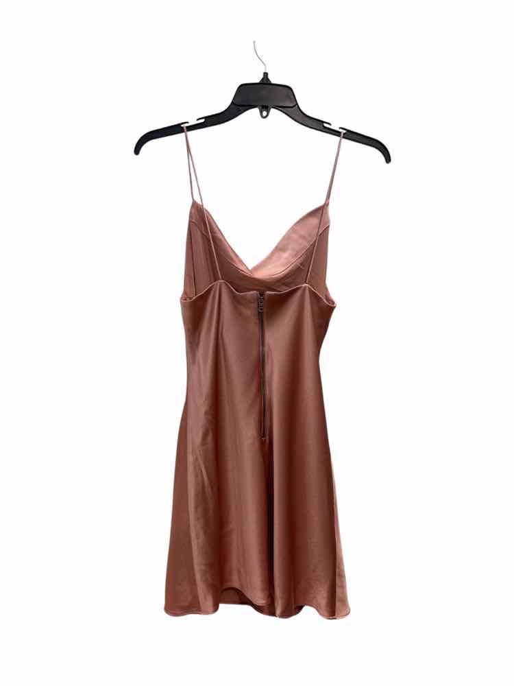 alice and riley Rose Size 0 Dress