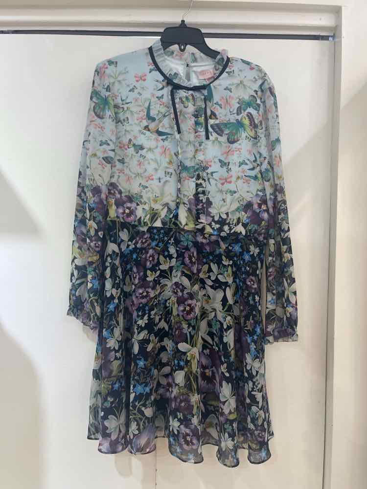 Ted Baker Multi Size 5 Dress