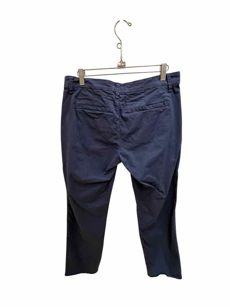 Frank & Eileen Blue Size 4 Pants