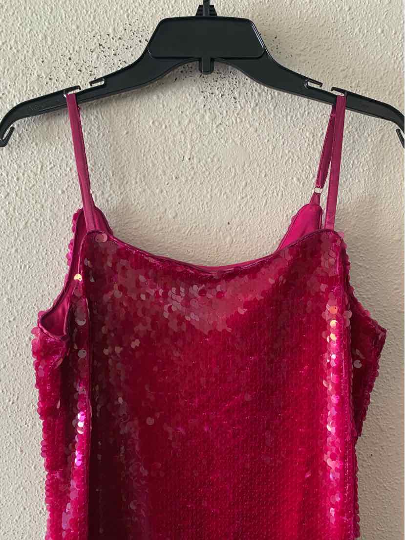 Endless Rose Magenta Size M Dress