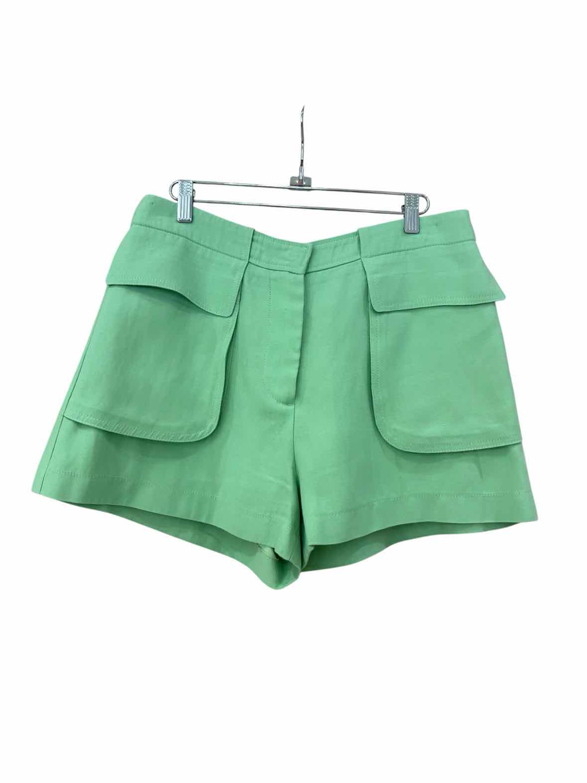 Alexis Mint Size L Shorts
