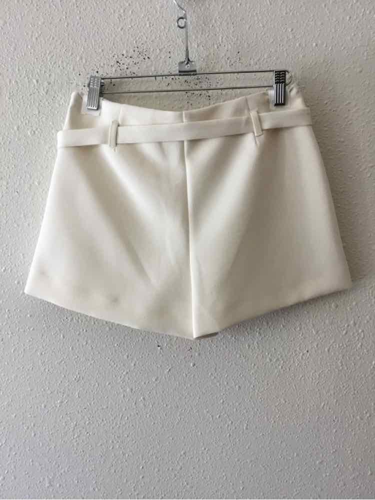 Zara Ivory Size S Skirt