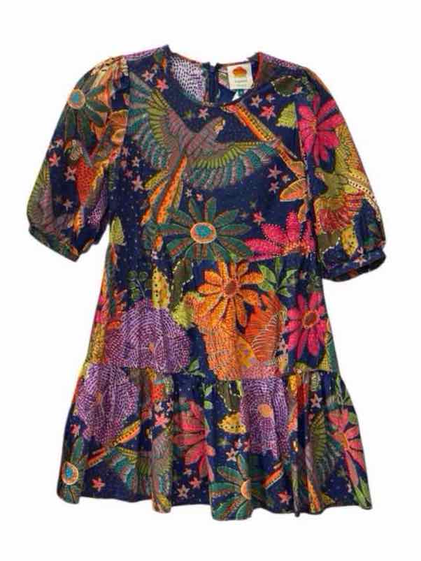farm rio Blue Multi Size S Dress