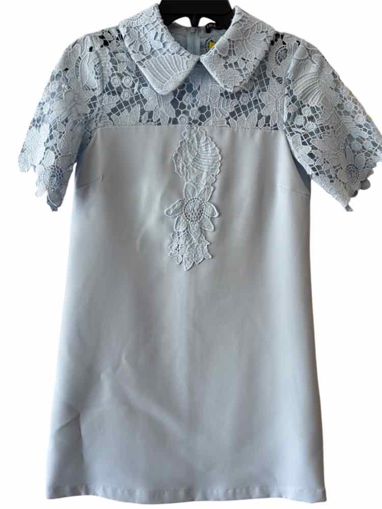 INA Sky Blue Size S Dress