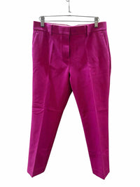 Ann Taylor Fuschia Size 4P Pants