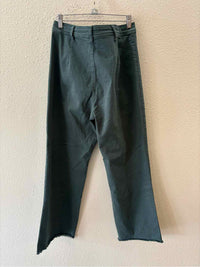 Marine Layer Olive Green Size 10 Pants