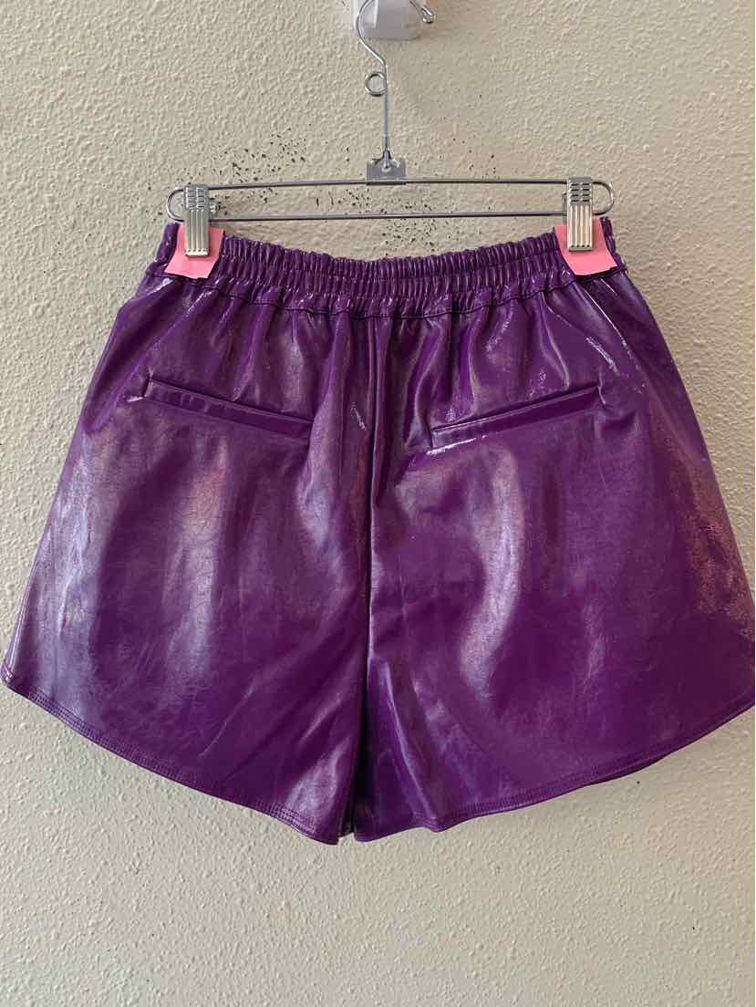 Grey Lab Purple Size S Shorts