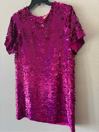 verb Fuschia Size S Dress