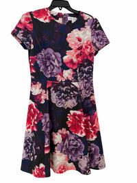 eliza J purple and pink Size 4 Dress