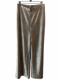 Skies are blue Metallic Size S Pants