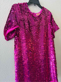 verb Fuschia Size S Dress