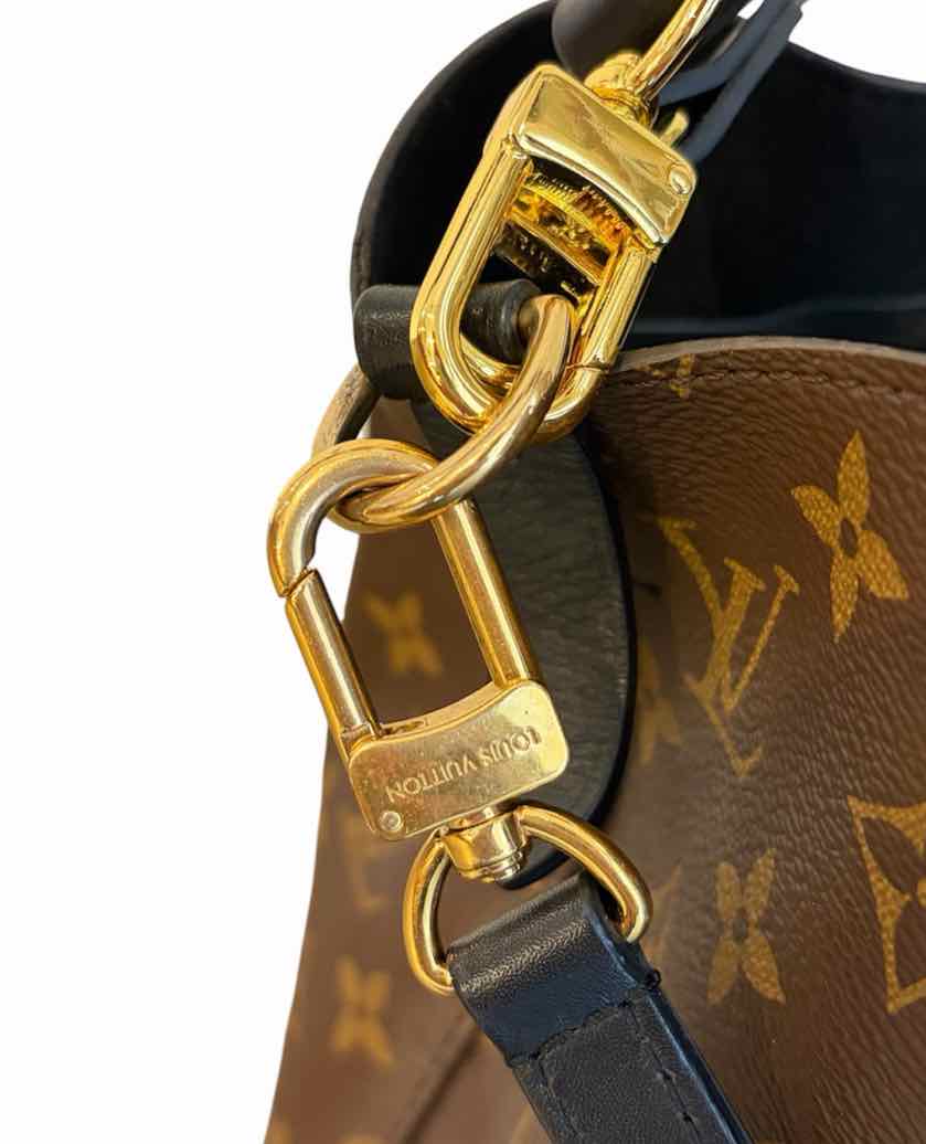 Louis Vuitton NeoNoe Bucket Bag Brown multi Handbag