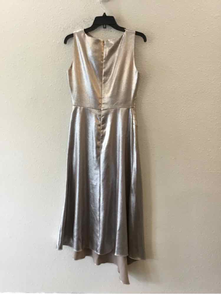Shoshanna Midnight Champagne Size 4 Dress