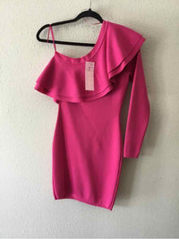 Endless Rose Magenta Size XS Dress