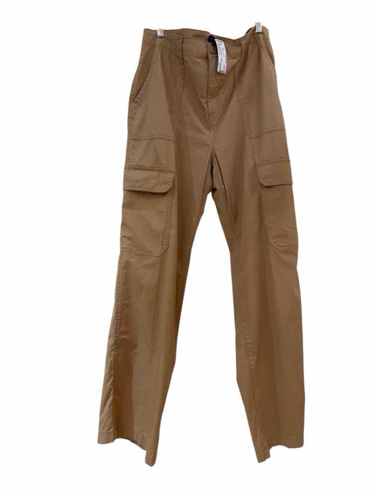 Sanctuary Tan Size 32 Pants