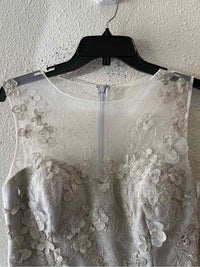 Teri Jon Champagne Size 8 Gown/Evening Wear