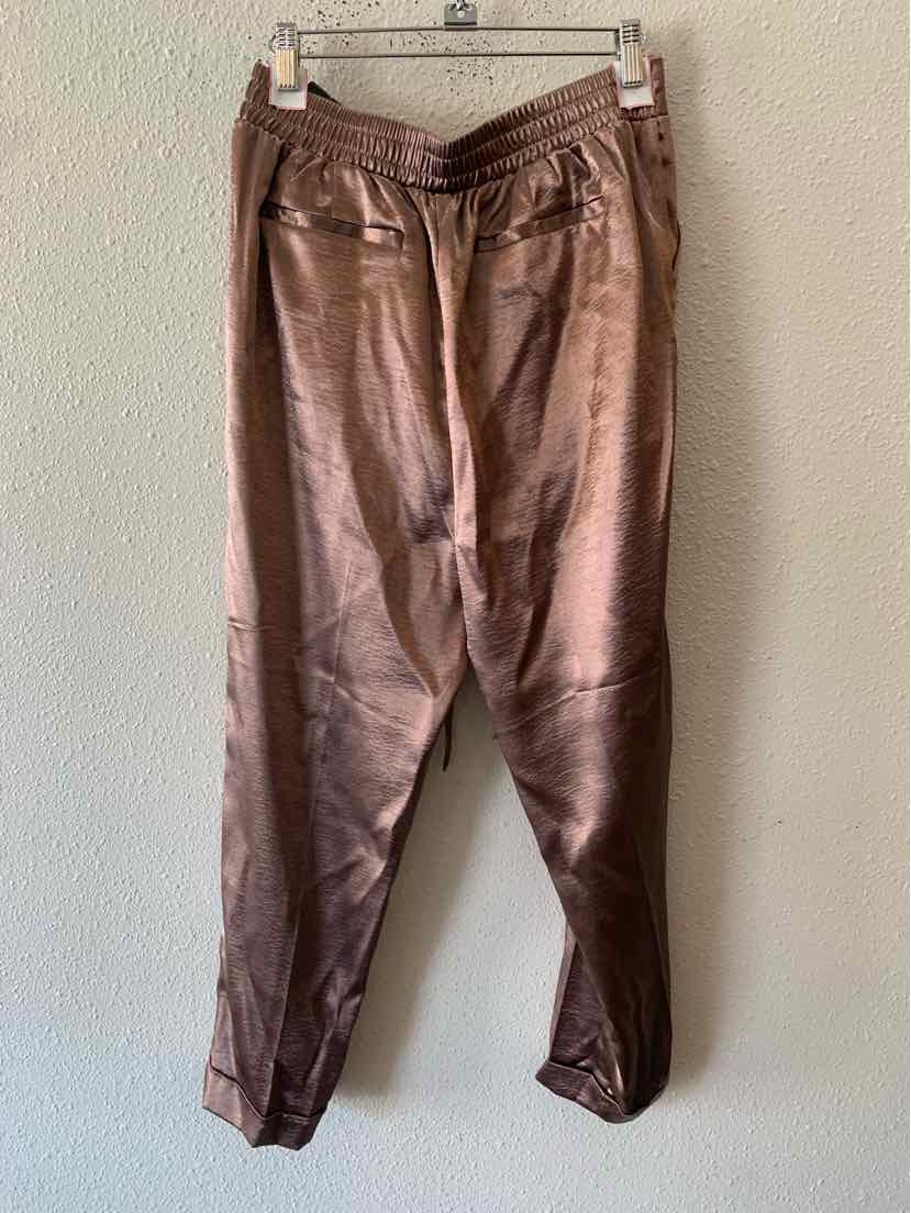 New York and Co. Bronze Size M Pants