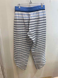 Joie White and Blue Size S Pants