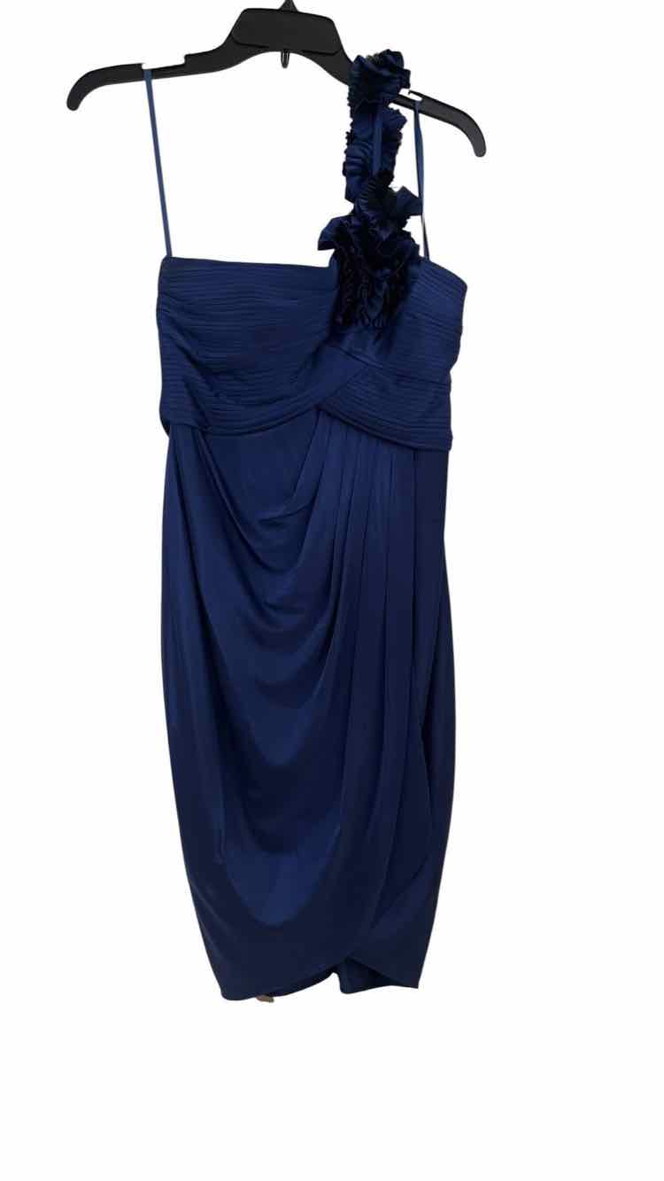 BCBGMax Azria Navy Size S Dress