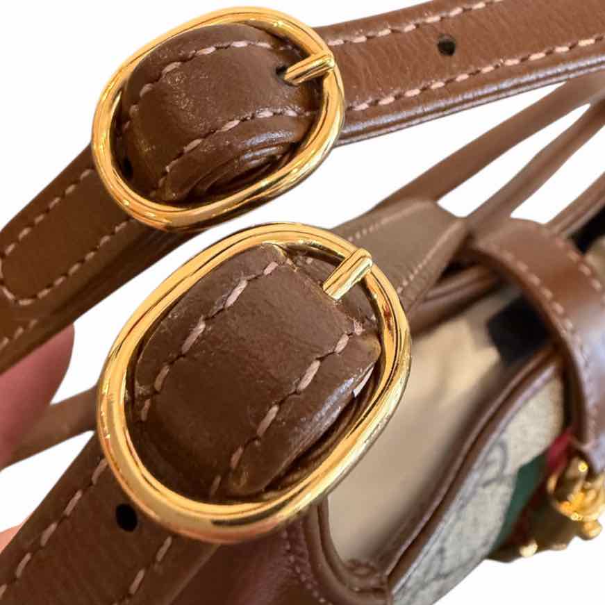 Gucci Brown and Tan Handbag