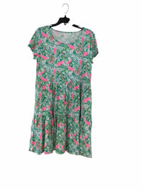 Lilly Pulitzer Green and Pink Size L Dress