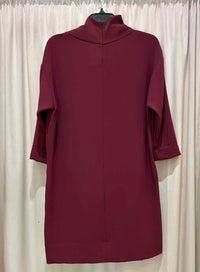 IRO Burgandy Size 40 Dress