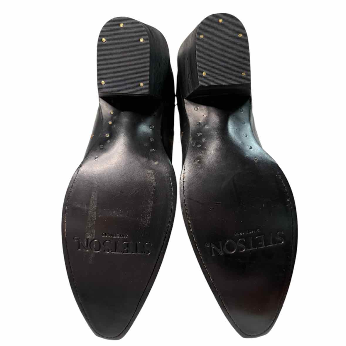 Stetson black and brown Size 9.5 Boots