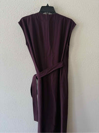 Everlane Plum Size 4 Dress