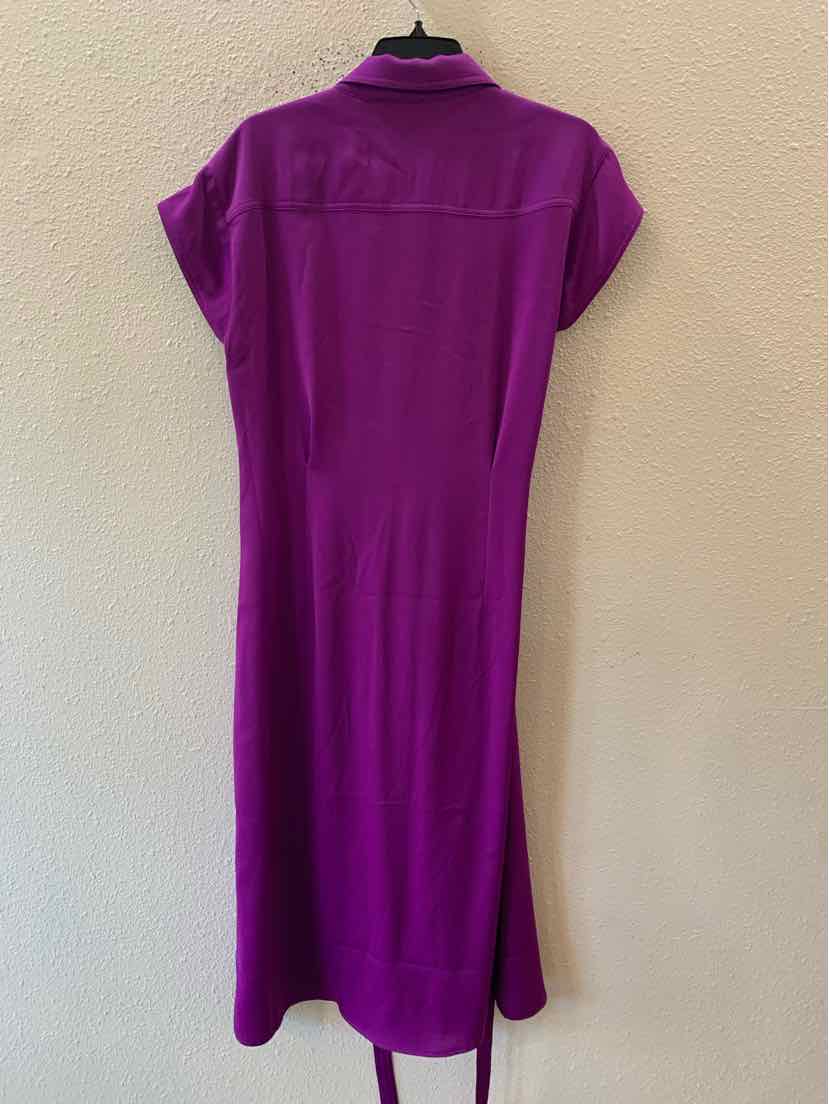 Alexia Admor Purple Size 10 Dress