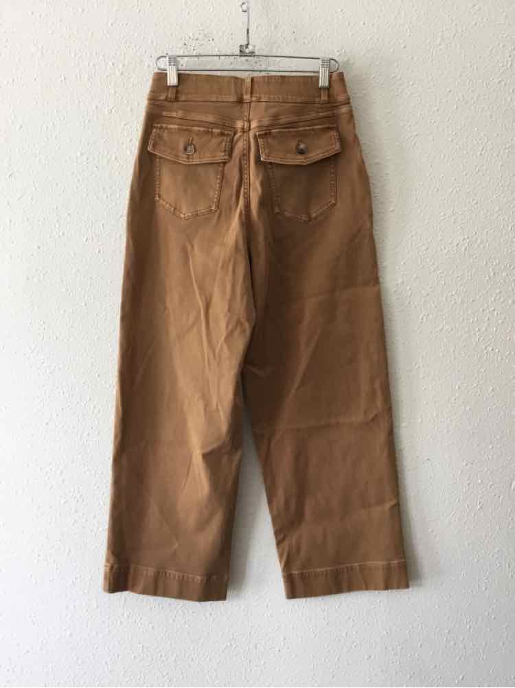 Spanx Brown Size M Pants