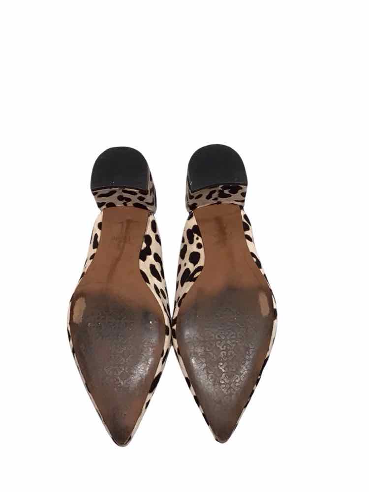 Linea Paolo Cheetah Size 9 Shoes