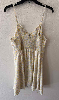 Cider White and Yellow Size 1X Dress
