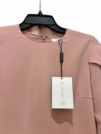 Alexis Blush Size XS Dress