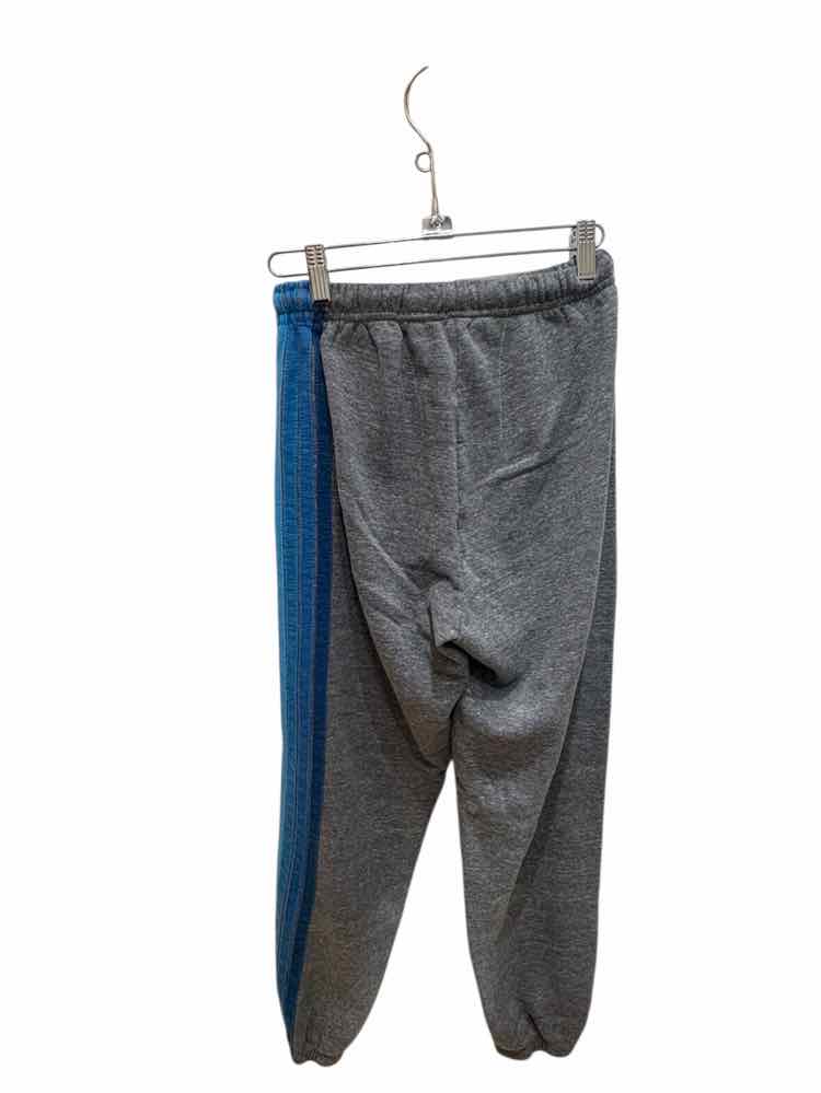 AviatorNation Grey and Blue Size S Sweatpants