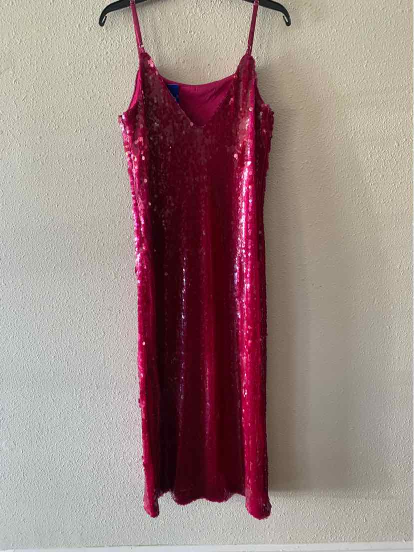 Endless Rose Magenta Size M Dress