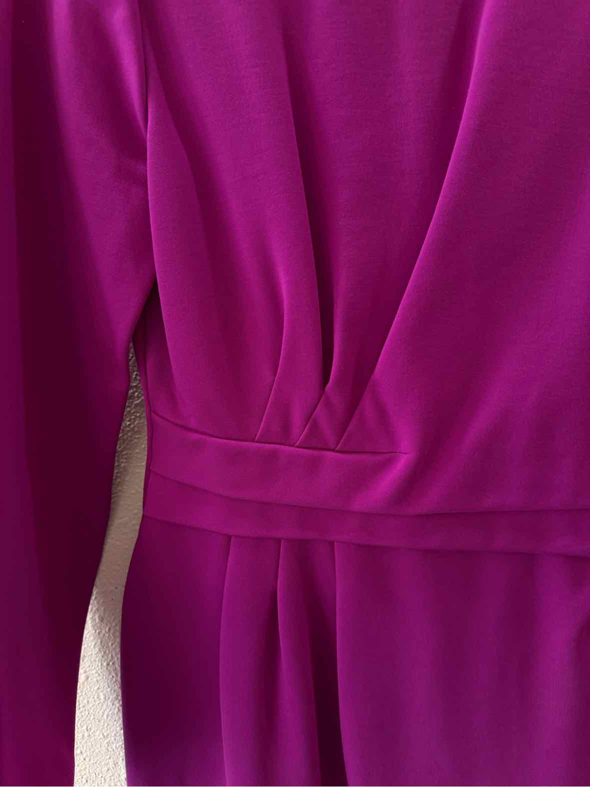 Katherine Kelly Fuschia Size 6 Dress