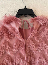 Hutch Blush pink Size XS Dress