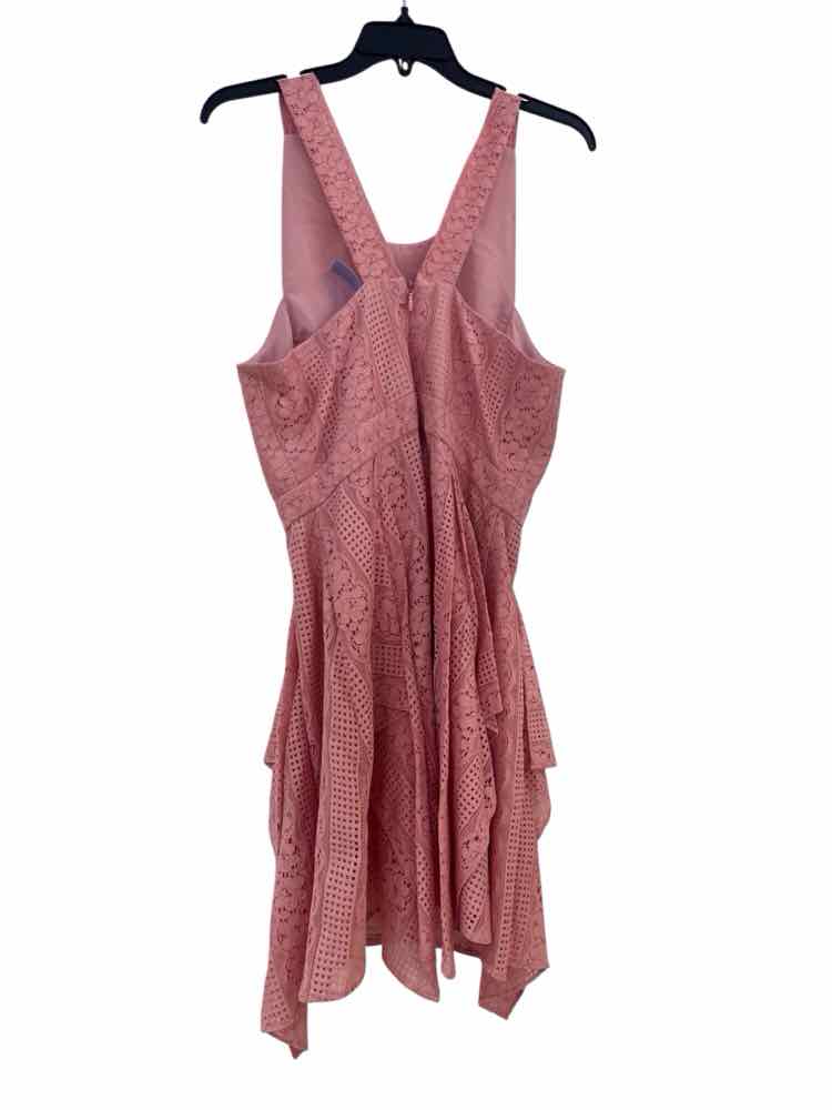 BCBGMax Azria dusty pink Size 10 Dress