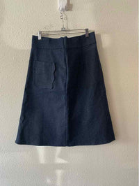 Never a Wallflower Blue Size L Skirt