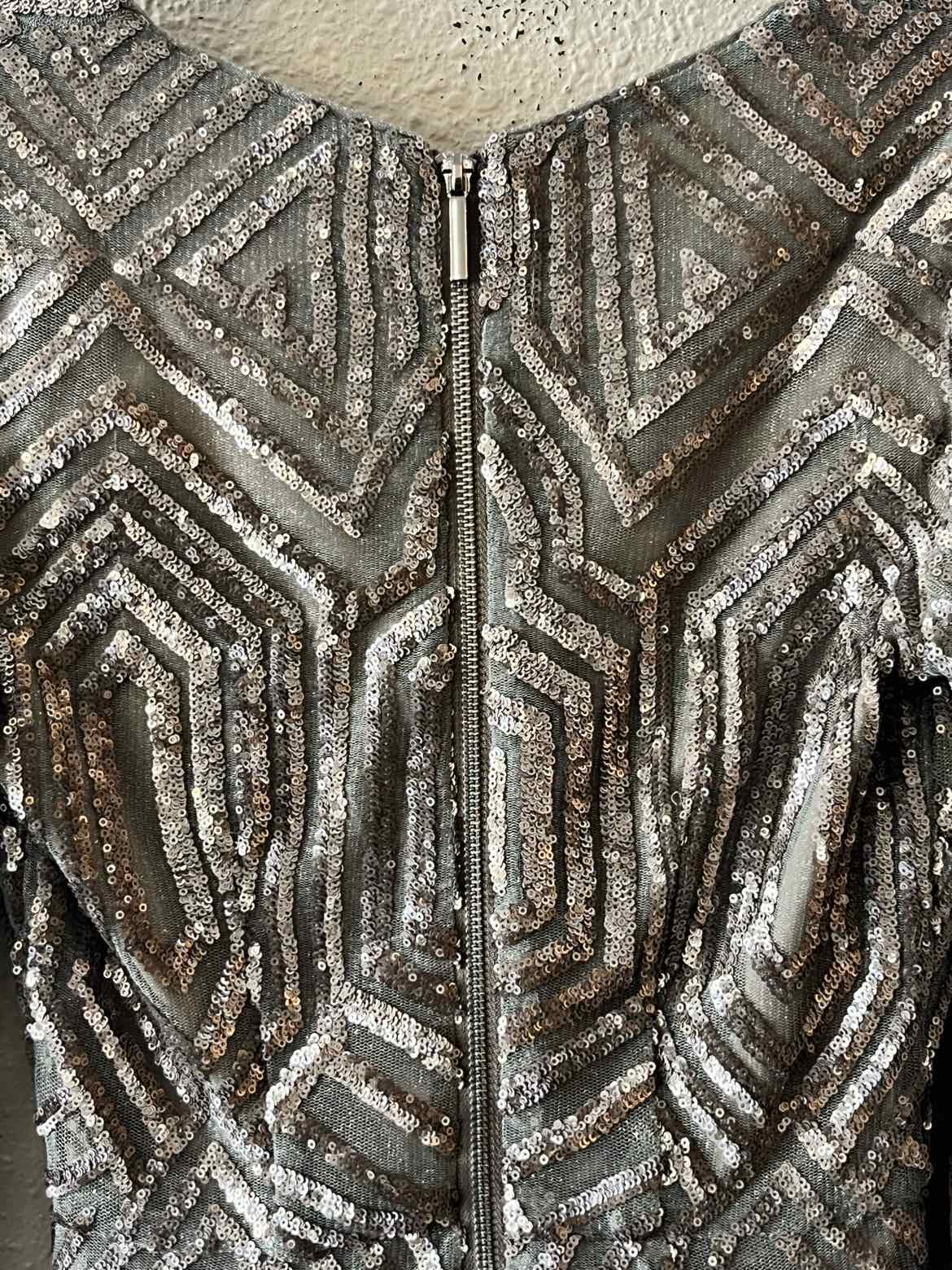 Saylor Silver Size XS Dress